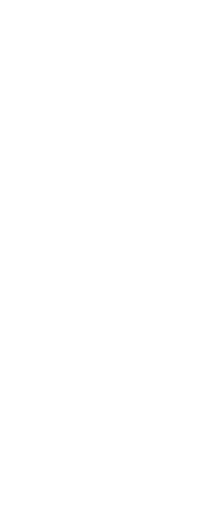 Southern Softflow Master Logo White Gradient 1 1