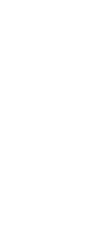 Southern Softflow Master Logo White Gradient 1