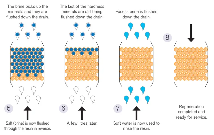 regeneration cycle