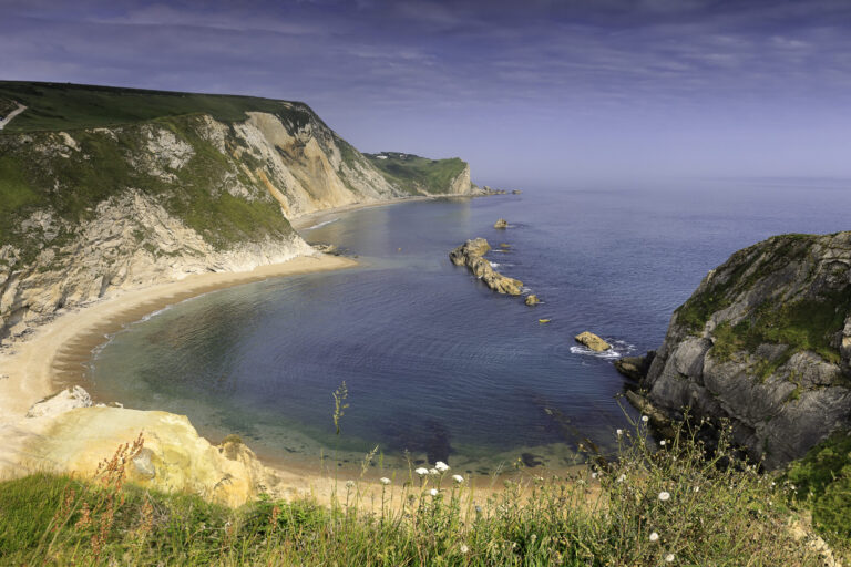 Serving Dorset