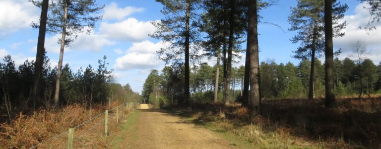 Verwood